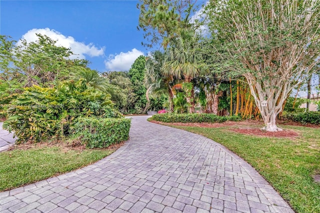 8244 Lakeview Dr, West Palm Beach, FL 33412 - view of property's community featuring a lawn