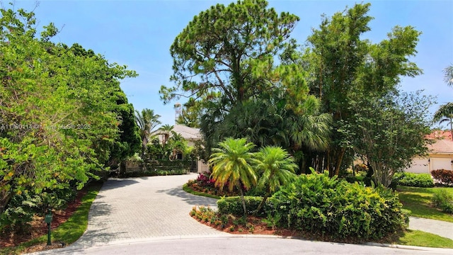 8244 Lakeview Dr, West Palm Beach, FL 33412 - surrounding community featuring decorative driveway