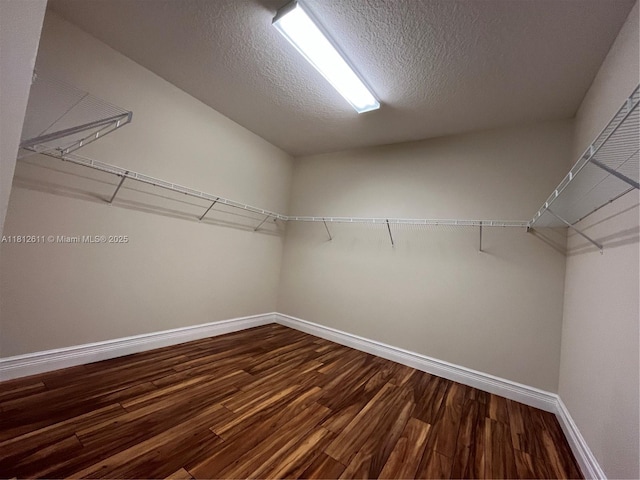 8248 Lost Creek Ln, Delray Beach, FL 33446 - spacious closet with dark wood-style flooring
