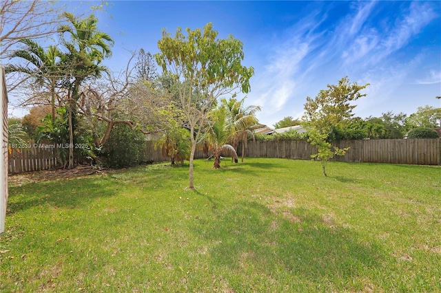17501 SW 89th Ave, Palmetto Bay, FL 33157 - view of yard