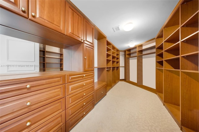 19955 NE 38th Ct Unit 2204, Aventura, FL 33180 - spacious closet featuring carpet floors