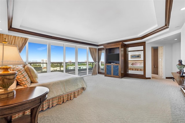 19955 NE 38th Ct Unit 2204, Aventura, FL 33180 - carpeted bedroom with a raised ceiling, baseboards, and crown molding