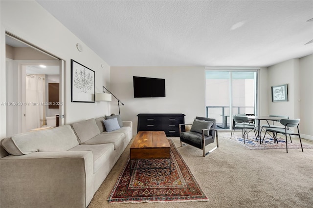 1900 N Bayshore Dr Unit 3605, Miami, FL 33132 - living room with carpet flooring and a textured ceiling