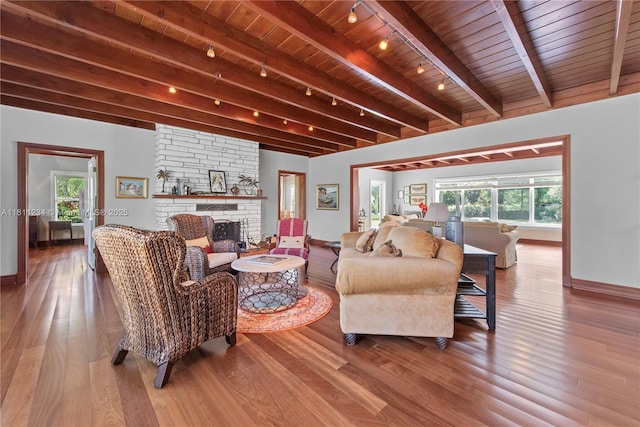 25000 SW 197th Ave, Homestead, FL 33031 - living area featuring track lighting, wood ceiling with exposed beams, baseboards, wood finished floors, and a stone fireplace