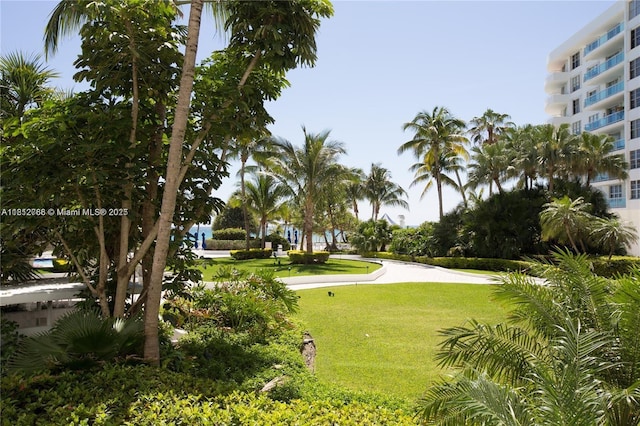 5161 Collins Ave Unit 315, Miami Beach, FL 33140 - view of home's community with a lawn