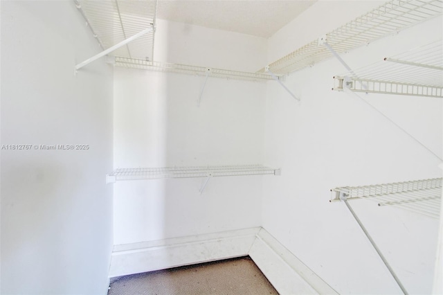 1006 NE 24th Ave Unit 190, Hallandale Beach, FL 33009 - view of walk in closet