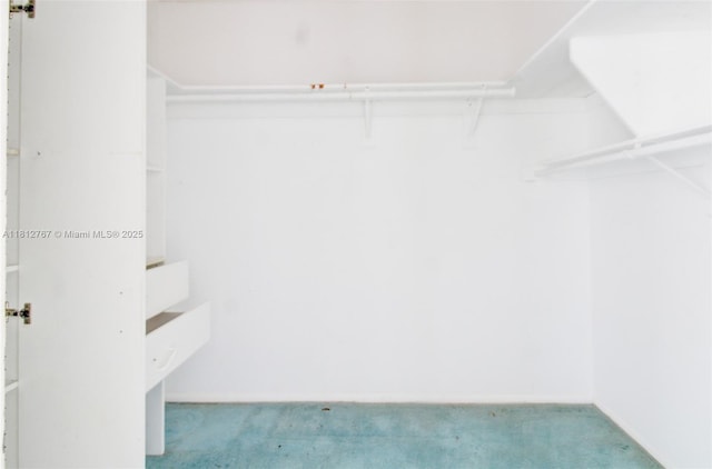 1006 NE 24th Ave Unit 190, Hallandale Beach, FL 33009 - walk in closet with carpet floors