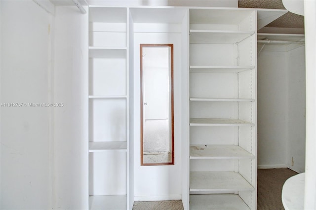 1006 NE 24th Ave Unit 190, Hallandale Beach, FL 33009 - spacious closet with carpet
