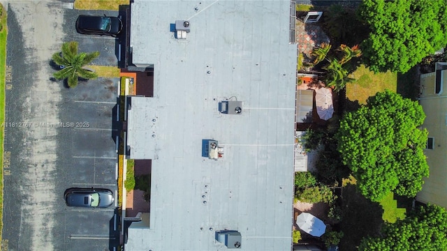 1006 NE 24th Ave Unit 190, Hallandale Beach, FL 33009 - view of subject property