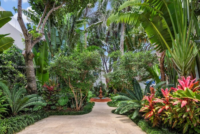 56 S Hibiscus Dr, Miami Beach, FL 33139 - photo 3
