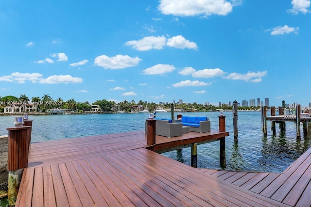 56 S Hibiscus Dr, Miami Beach, FL 33139 - photo 7