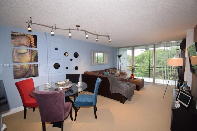 103 Royal Park Dr Unit 3D, Oakland Park, FL 33309 - dining space featuring a textured ceiling and carpet flooring