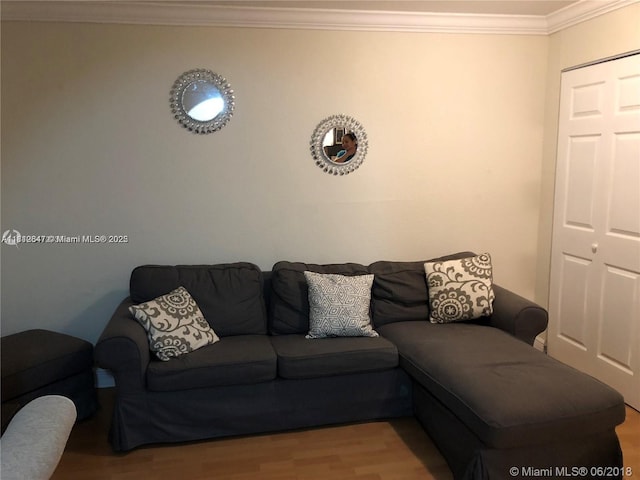 17255 SW 95th Ave Unit D-349, Palmetto Bay, FL 33157 - living room featuring crown molding and wood finished floors