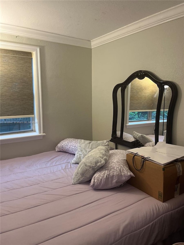 17255 SW 95th Ave Unit D-349, Palmetto Bay, FL 33157 - bedroom with ornamental molding and multiple windows