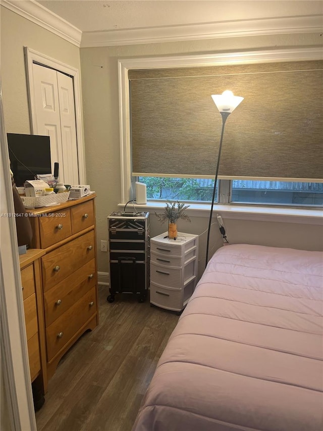 17255 SW 95th Ave Unit D-349, Palmetto Bay, FL 33157 - bedroom featuring crown molding and dark wood-style floors