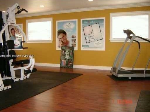 17255 SW 95th Ave Unit D-349, Palmetto Bay, FL 33157 - exercise room featuring ornamental molding, plenty of natural light, wood finished floors, and baseboards