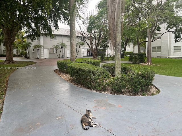 17255 SW 95th Ave Unit D-349, Palmetto Bay, FL 33157 - view of property's community featuring curved driveway