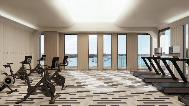 7918 W Dr Unit Ph-2002, North Bay Village, FL 33141 - gym with arched walkways, a water view, and carpet floors