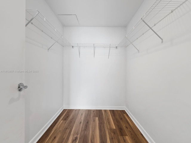 253 NE 2nd St Unit 3108, Miami, FL 33132 - spacious closet with dark wood-type flooring