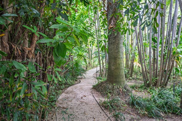 621 NE 55th St, Miami, FL 33137 - view of nature