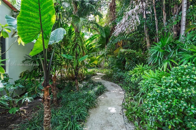 621 NE 55th St, Miami, FL 33137 - view of yard