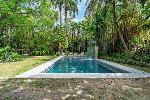 621 NE 55th St, Miami, FL 33137 - outdoor pool with a lawn