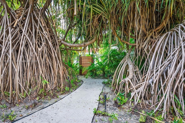 621 NE 55th St, Miami, FL 33137 - view of yard