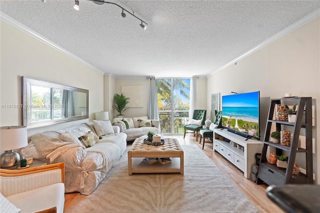 3000 Coral Way Unit 510, Miami, FL 33145 - living area featuring plenty of natural light, light wood finished floors, a textured ceiling, crown molding, and floor to ceiling windows