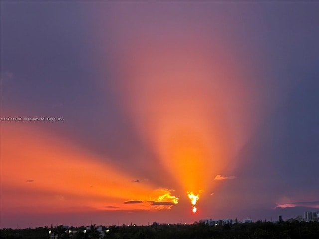 800 Parkview Dr Unit 729, Hallandale Beach, FL 33009 - view of nature at dusk