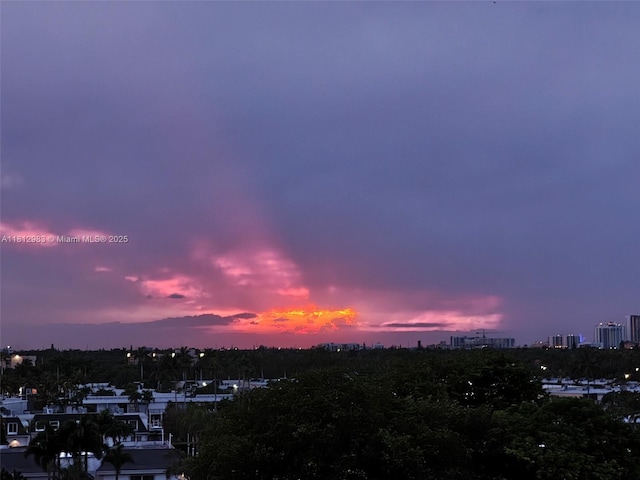800 Parkview Dr Unit 729, Hallandale Beach, FL 33009 - view of city
