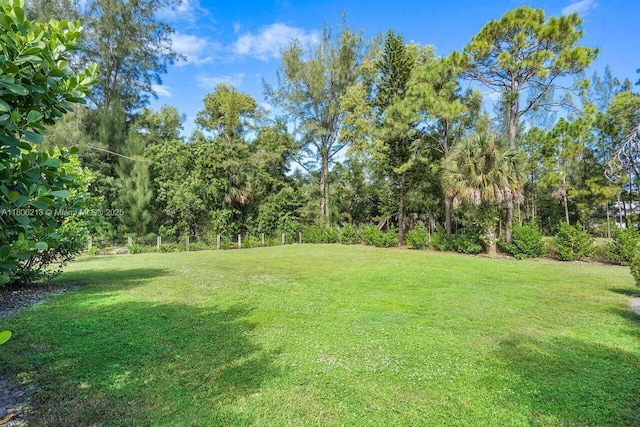 11613 N 42nd Rd N, West Palm Beach, FL 33411 - view of grassy yard