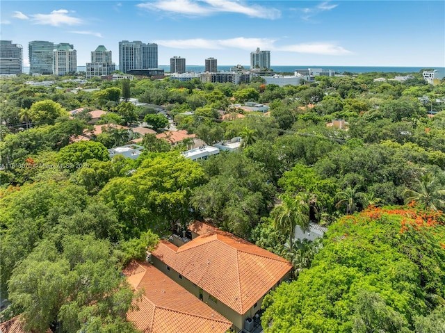 3154 Gifford Ln Unit 3154, Miami, FL 33133 - photo 27