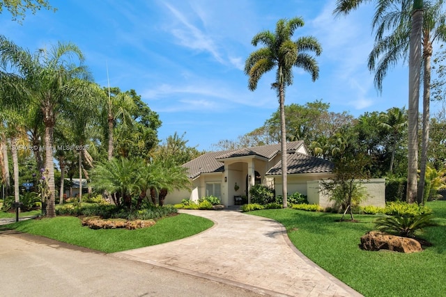 7395 SW 166th St, Palmetto Bay, FL 33157 - mediterranean / spanish-style house with a tile roof, stucco siding, decorative driveway, and a front lawn