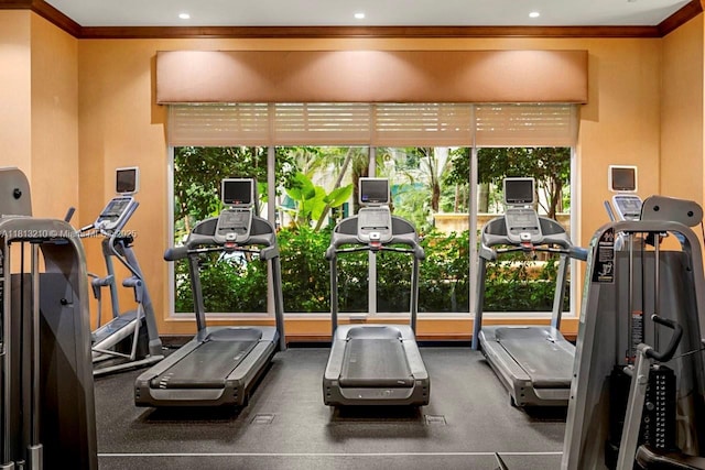 510 NW 84th Ave Unit 541, Plantation, FL 33324 - exercise room with ornamental molding