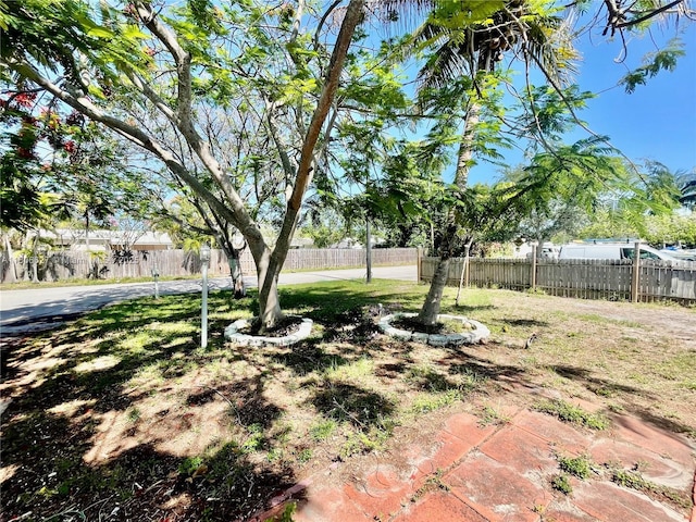 2465 NE 15th Ave, Pompano Beach, FL 33064 - view of yard