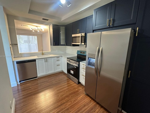 11281 NW 42nd Ter Unit 0, Doral, FL 33178 - kitchen with stainless steel appliances, a sink, a tray ceiling, a chandelier, and wood finished floors
