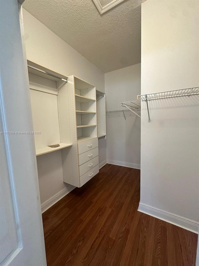 11281 NW 42nd Ter Unit 0, Doral, FL 33178 - walk in closet featuring dark wood-style flooring