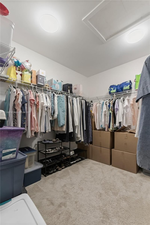 6274 SE Fauna Ter, Hobe Sound, FL 33455 - photo 23