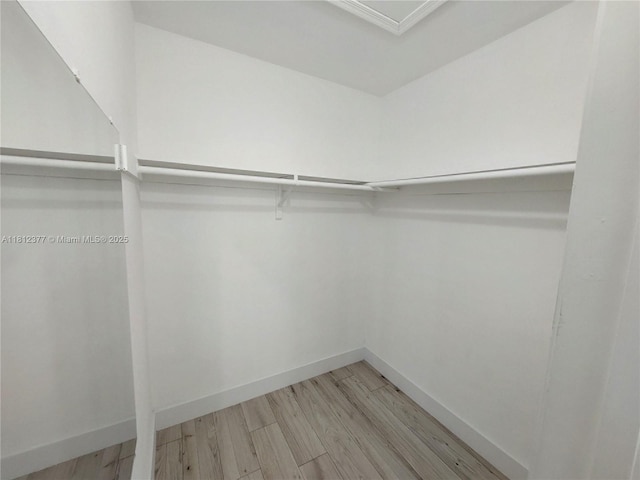 4579 NW 16th Way, Tamarac, FL 33309 - walk in closet with light wood-style flooring