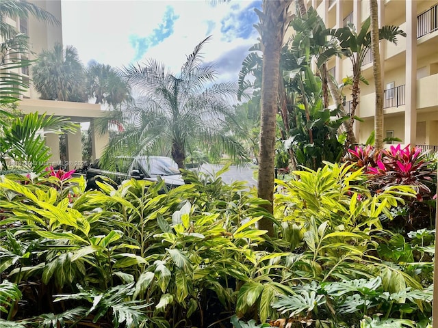 3475 S Ocean Blvd Unit 1130, Palm Beach, FL 33480 - view of yard