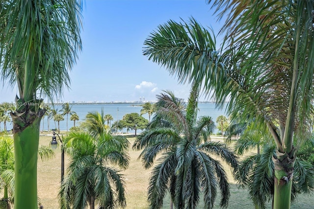 1900 N Bayshore Dr Unit 603, Miami, FL 33132 - water view