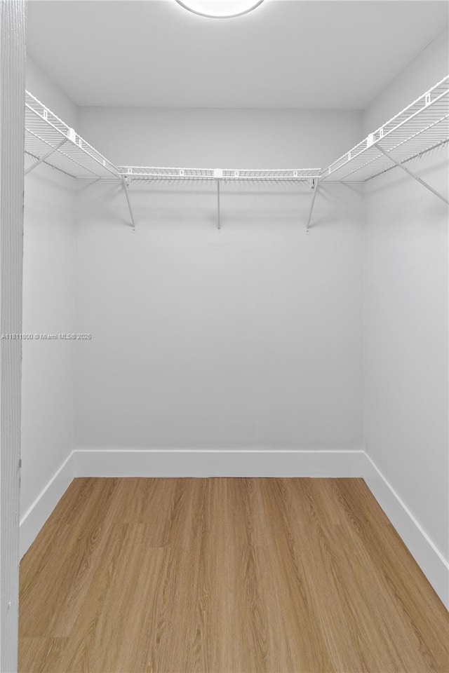 7900 S Colony Cir Unit 206, Tamarac, FL 33321 - walk in closet with light wood-style floors