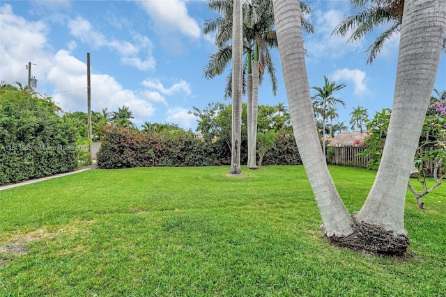1319 Buchanan St, Hollywood, FL 33019 - photo 48