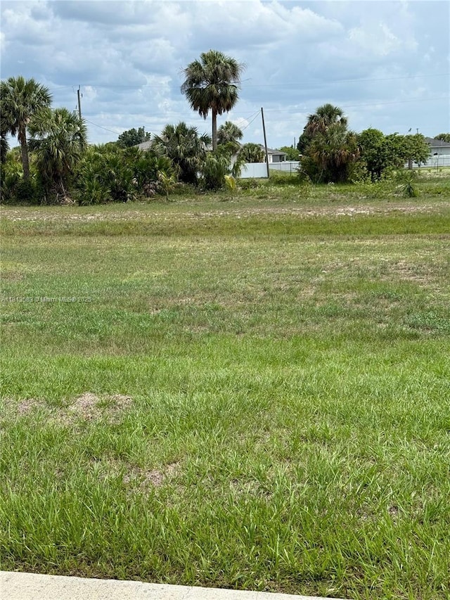 3031 Cherry Ln, La Belle, FL 33935 - view of yard