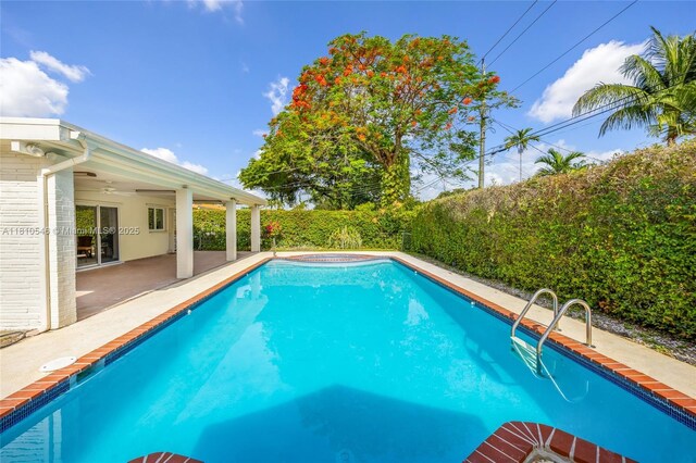 1237 Dove Ave, Miami Springs, FL 33166 - view of pool with a patio, a shed, a fenced backyard, and a pool with connected hot tub