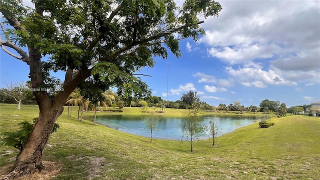 4330 Hillcrest Dr Unit 505, Hollywood, FL 33021 - water view