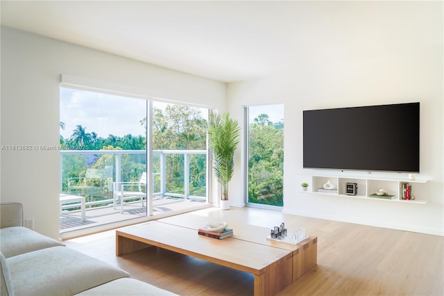 10250 Collins Ave Unit Ph1, Bal Harbour, FL 33154 - living area with wood finished floors