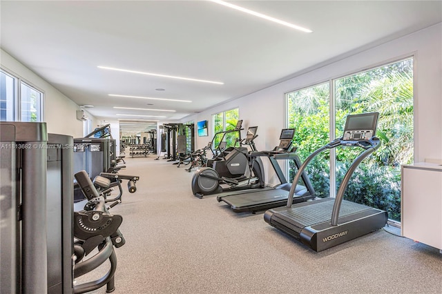 10250 Collins Ave Unit Ph1, Bal Harbour, FL 33154 - gym with plenty of natural light and carpet flooring