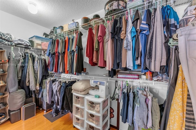 14011 SW 151st Ave, Miami, FL 33196 - spacious closet with wood finished floors