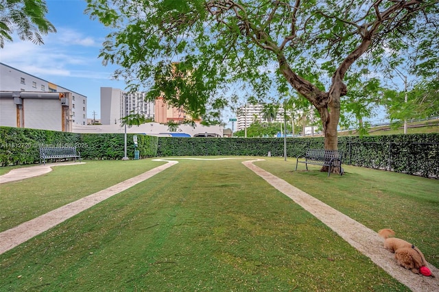 10 SW S River Dr Unit Ph108, Miami, FL 33130 - view of yard